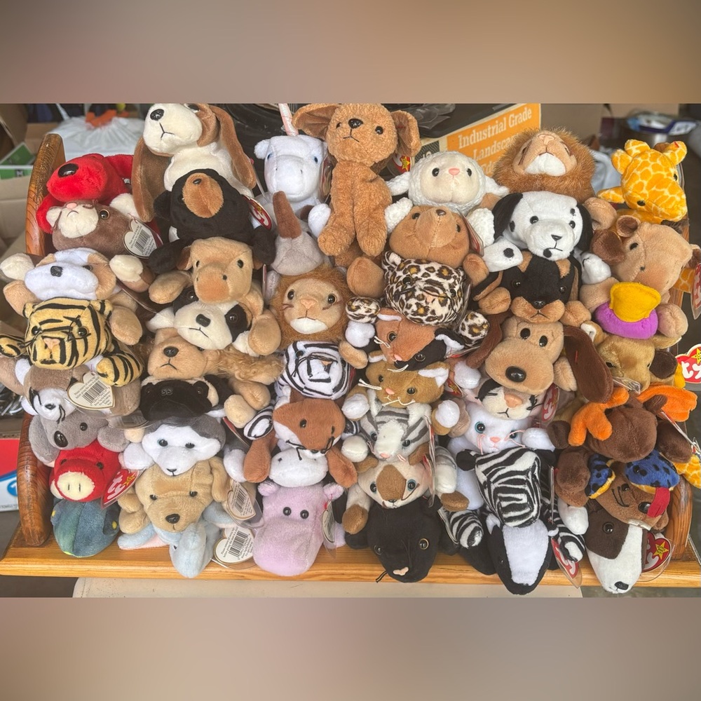 Beanie Babies Lot 🧸